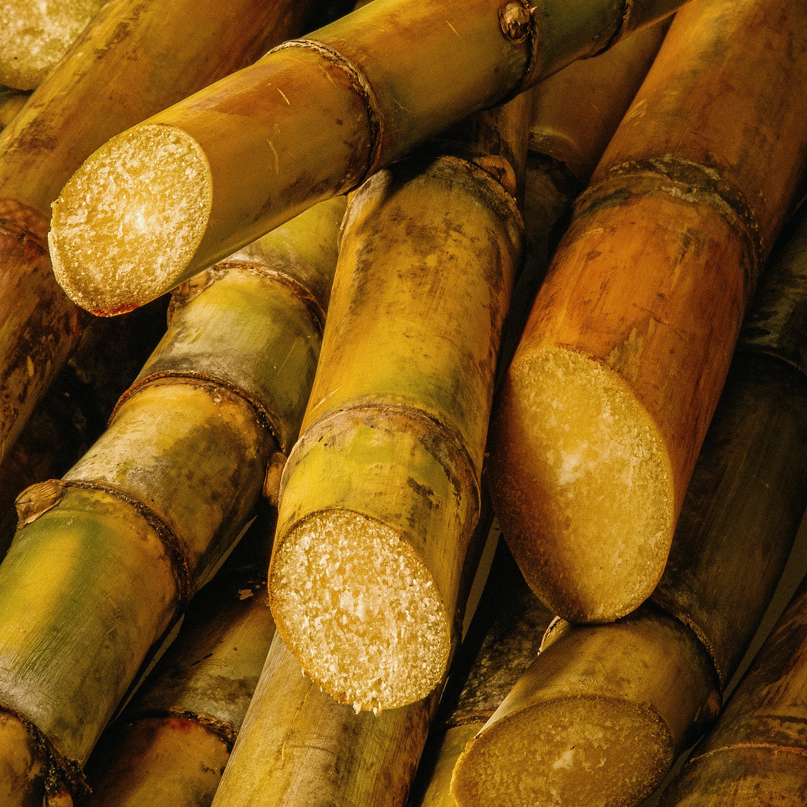 Blond Cane Sugar - one of key ingredients of Centifolia's Gentle Scrub